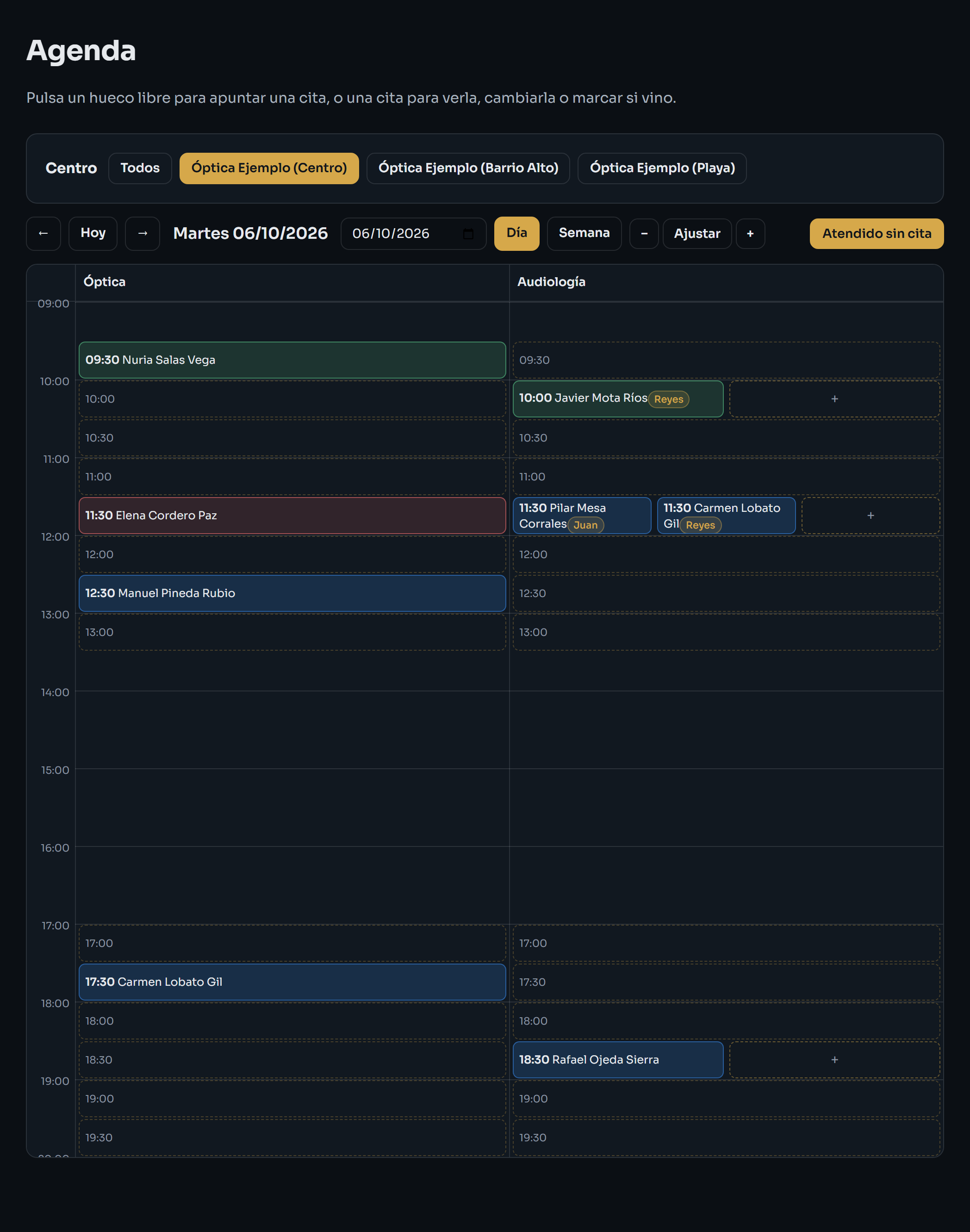 Pantalla de Agenda con las columnas de Óptica y Audiología y los huecos del día